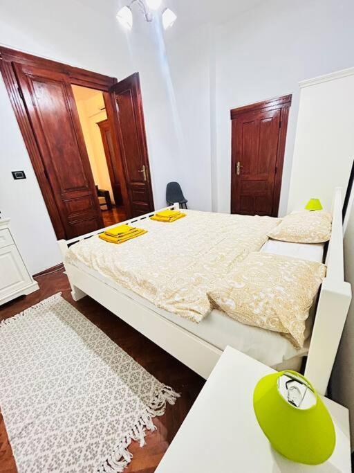Appartement Hidden Gem In The Old Town à Timişoara Extérieur photo
